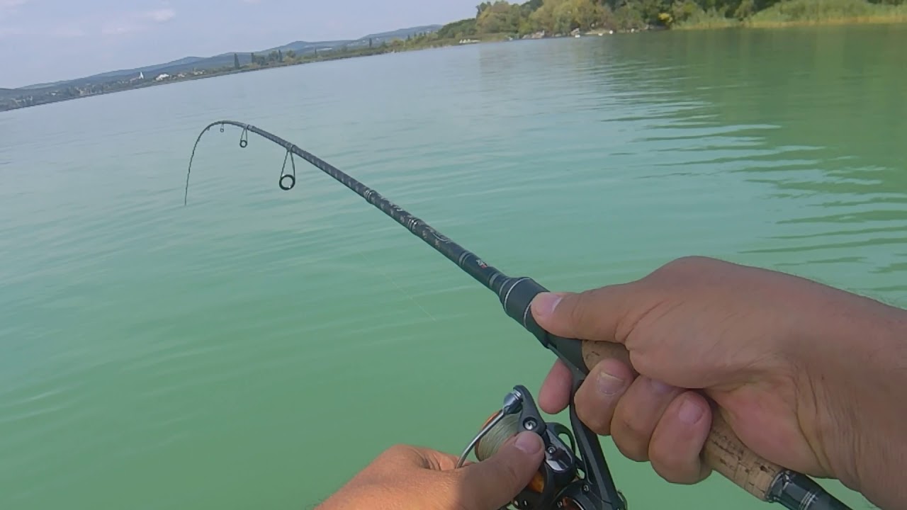 Balatoni felszíni balinok - Topwater lure asp strikes from  Lake Balaton