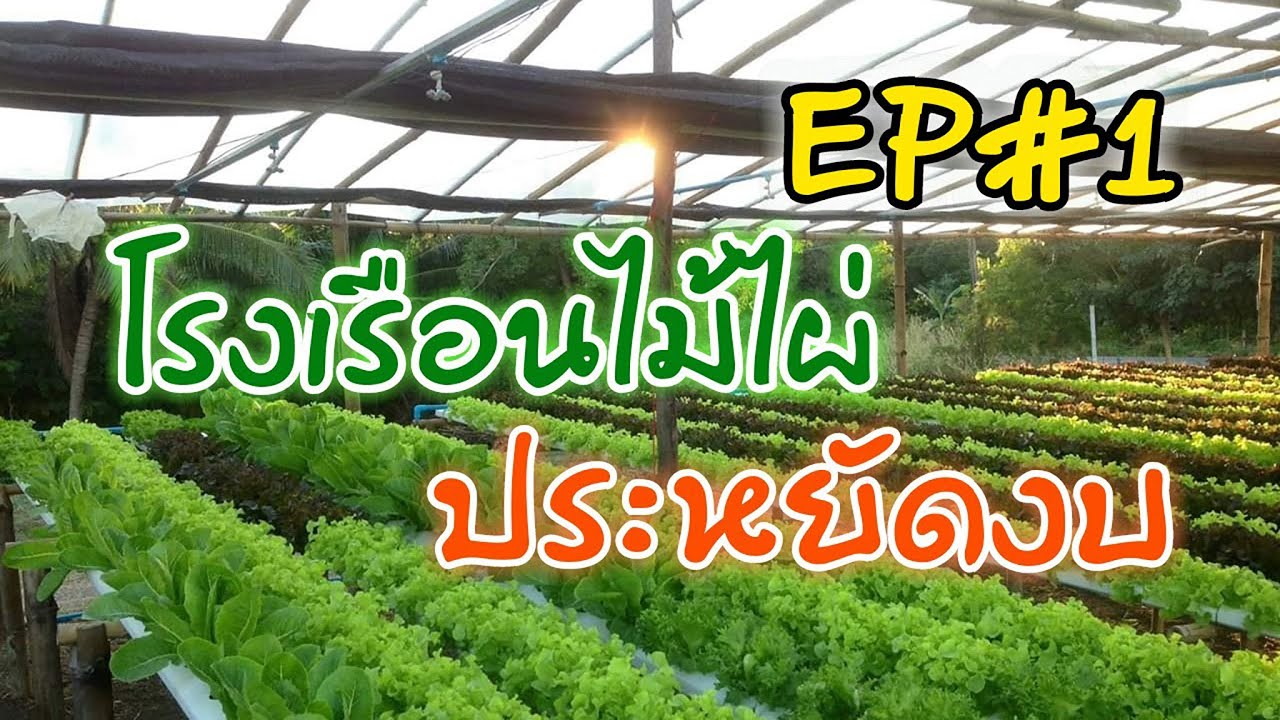 แนวทางการทำโรงเรือนจากไม้ไผ่ #ไฮโดรโปรนิกส์