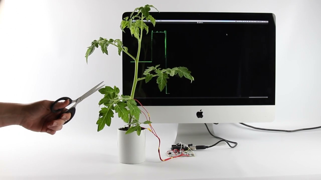 DECOD - Raw signal plant sensor