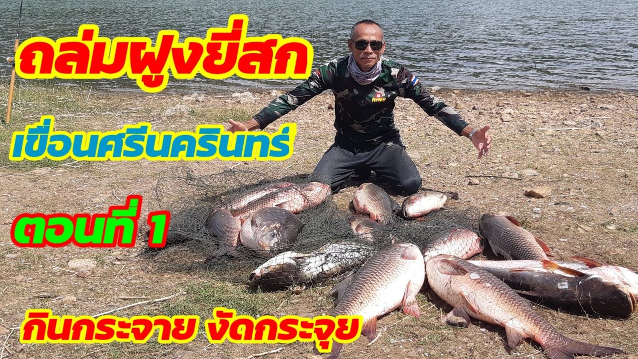 ถล่มฝูงยี่สก เขื่อนศรีนครินทร์ (ตอนที่ 1)กินกระจายวัดกระจุยEP31 #จ่าสาพาตะลุย