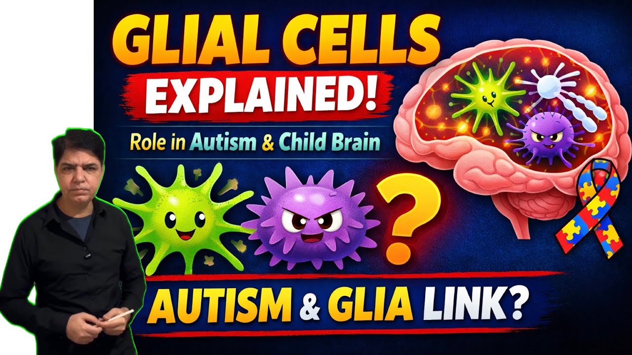Basics of Paediatric Neuroanatomy- The Glial Cells