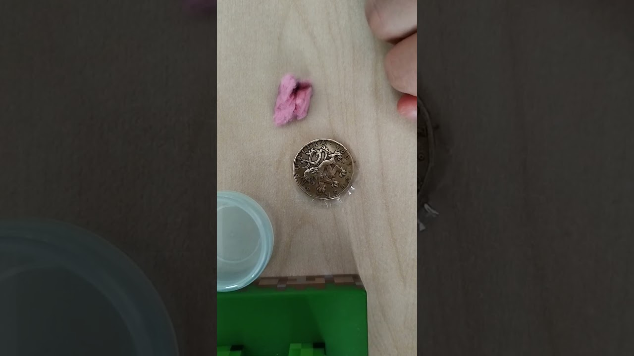 Le&scaron;těn&iacute; minc&iacute;