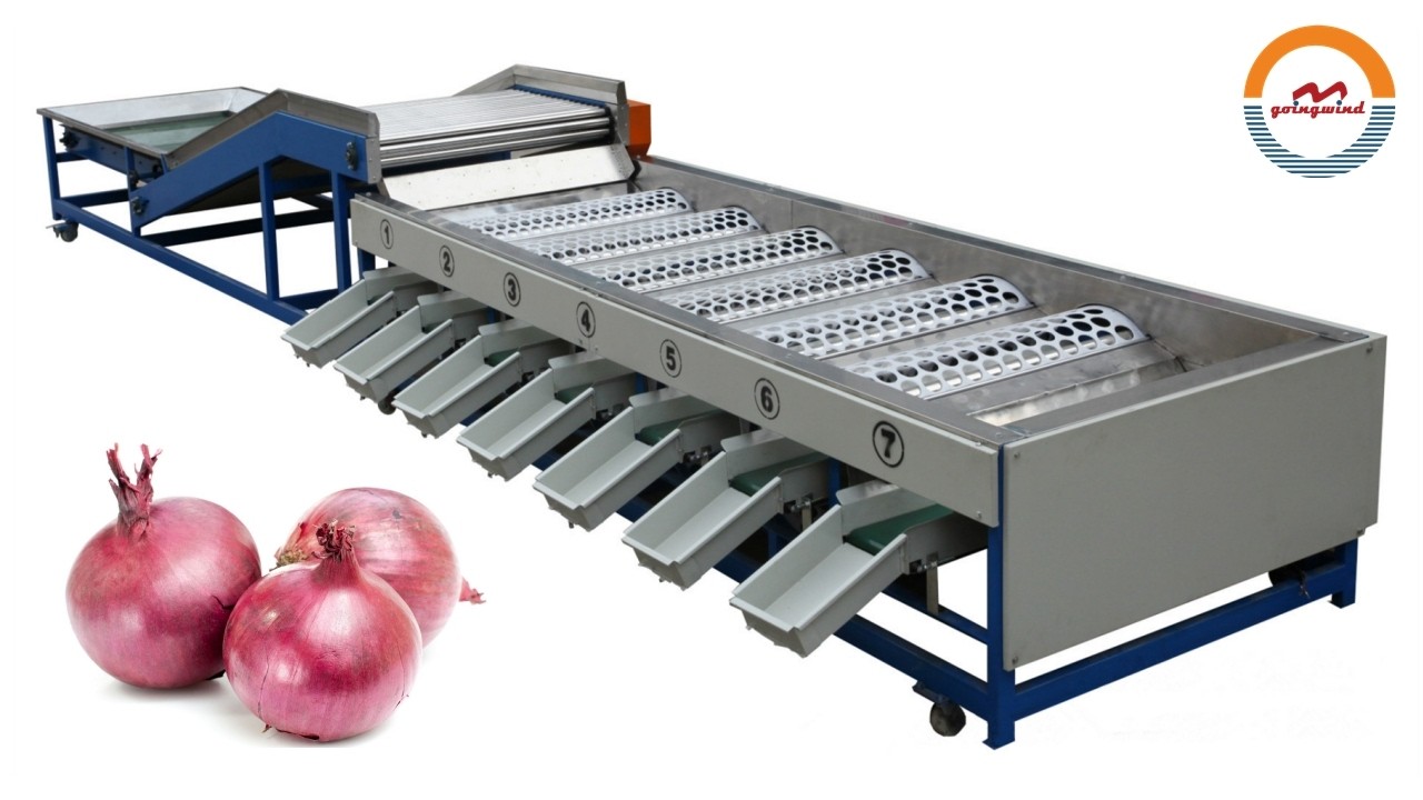 Automatic Onions Brush Cleaning And Size Grading Sorting Machine Industrial Onion Sorter Grader