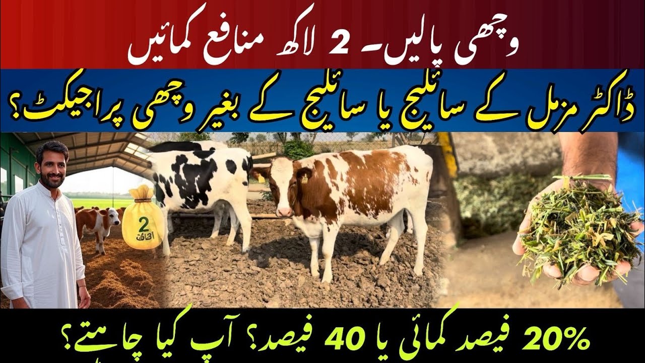 3 October 2025