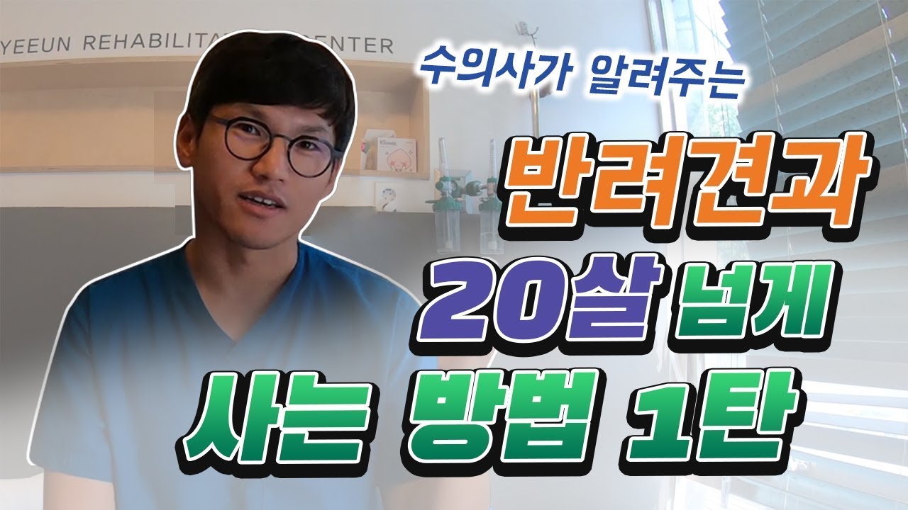 소중한 반려견 장수 프로젝트 ! 강아지 오래 사는방법 1/2