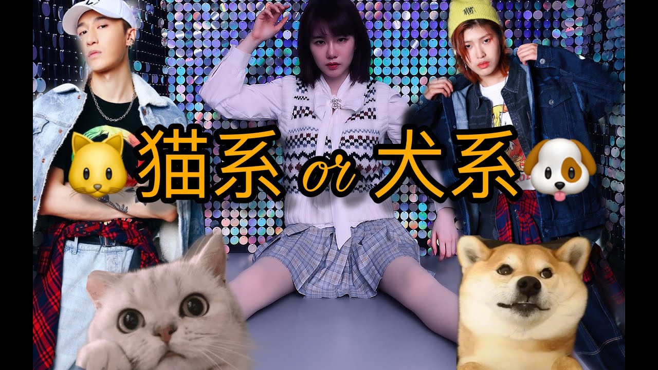 【互动视频】前方核能！！猫系男or犬系男？你选哪个？