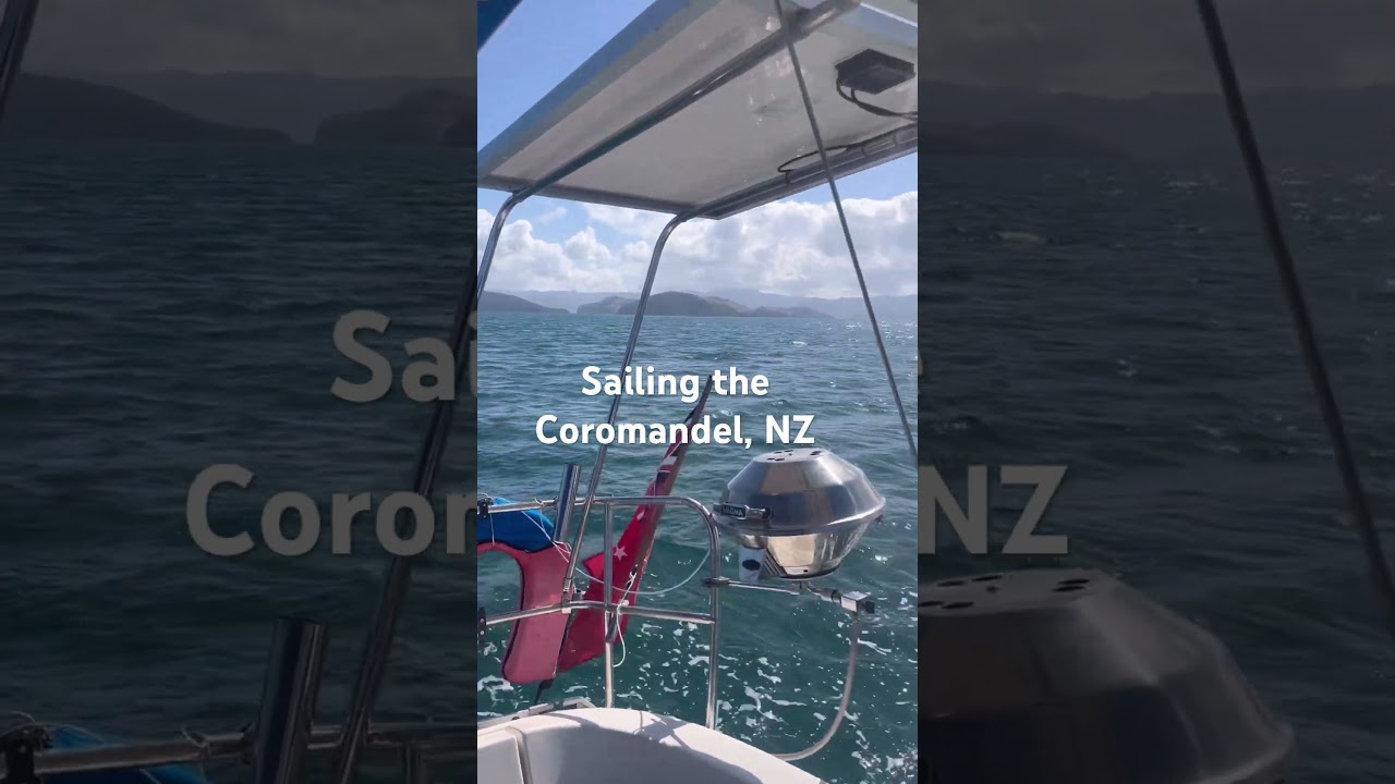 Coromandel Sailing