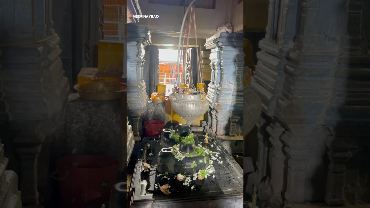 Sri kaleshwara mukteshwara swamy temple | Kaleshwaram temple #shivatemple #shortsviral #travel