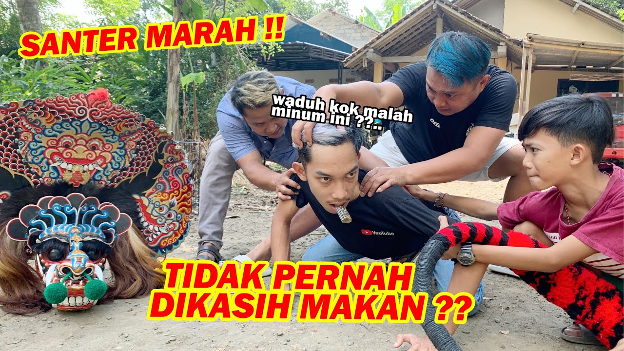 SANTER GAK PERNAH DIKASIH MAKAN ?? Wow efeknya jadi gini..