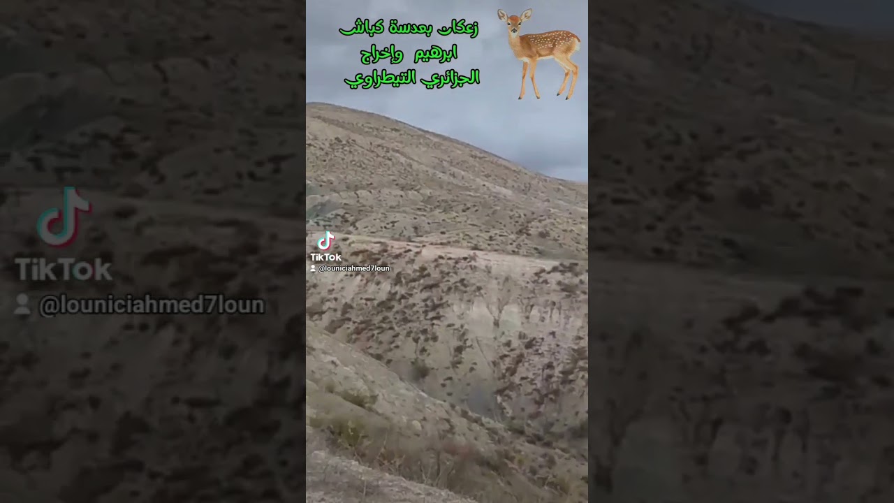 زعكان بلديه سيدي زهار