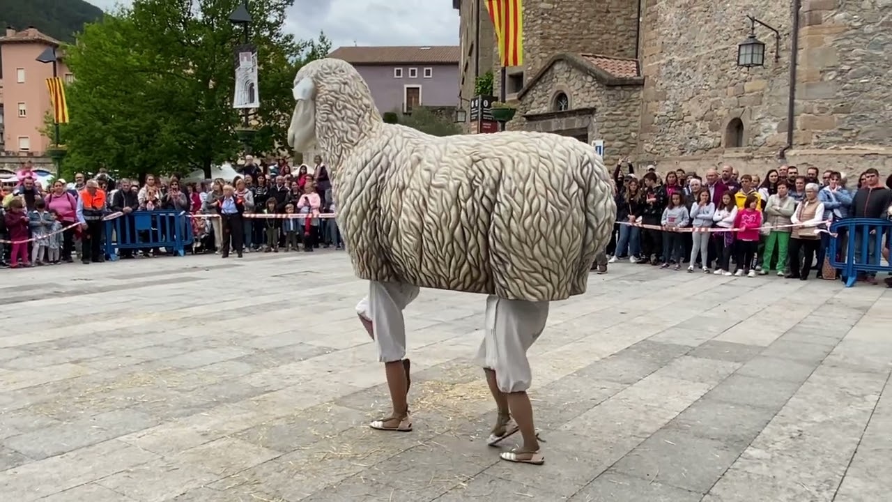 Ball de l'Ovella de Castellví de la Marca, 2023