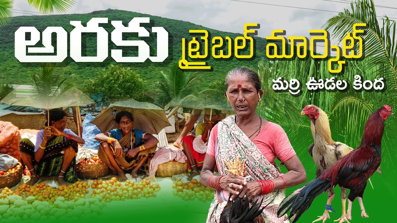అరకు లోయలో సంత, గిరిజనులు సొంత కూరగాయలు |  Sunkara Metta - Complete Araku Tribal Market | CS Vlogs
