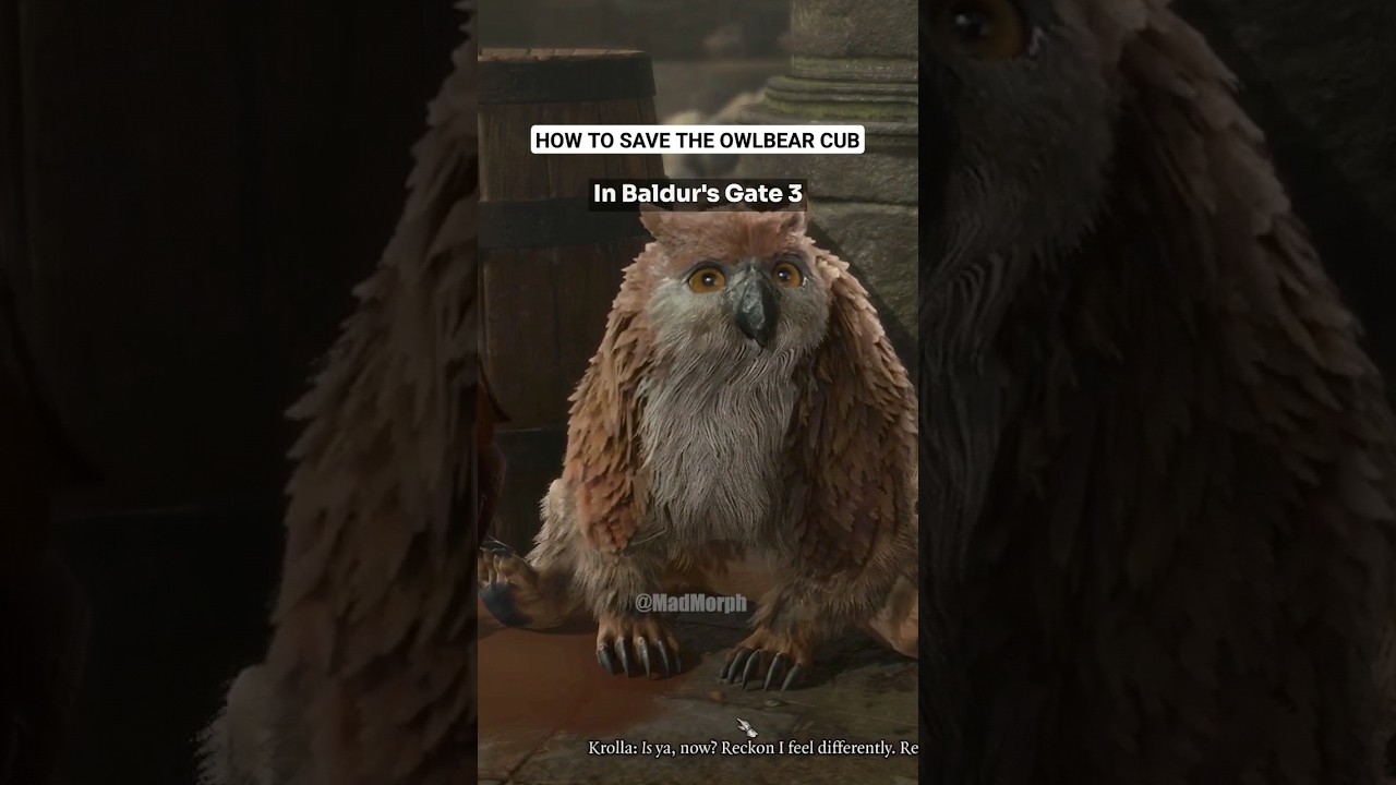 How to adopt the OWLBEAR CUB in Baldur's Gate 3