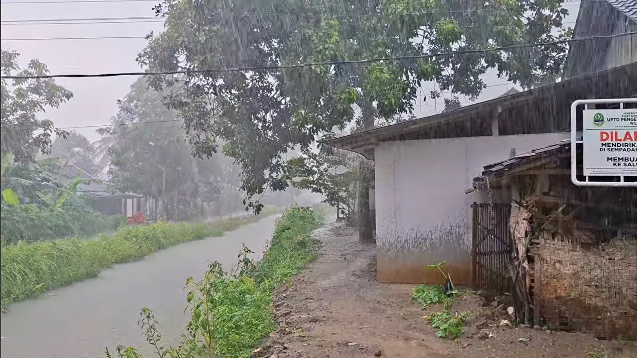 EP.02 | 🌧Walking in the Village During Heavy Rain  | Nature Rain Ambience #RainSoul