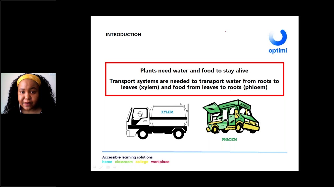 Grade 10 Life Sciences   Support  and Transport Systems in Plants