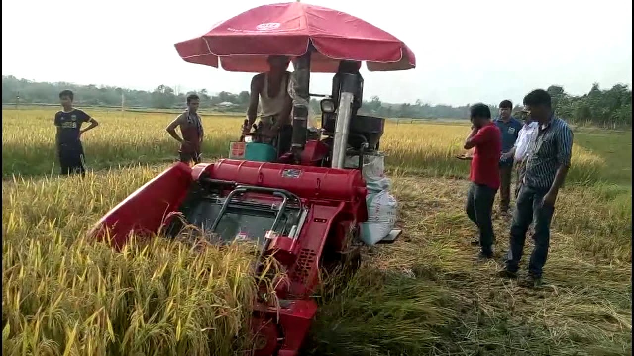 Mini combine harvester