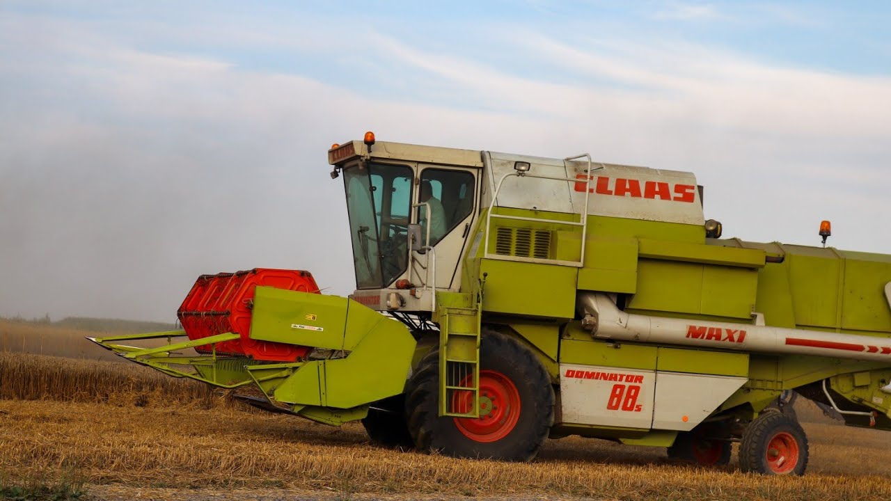 Żniwa 2024  🌾Pszenica pod kosę Claas Dominator 88s | Osinki Agro Tv