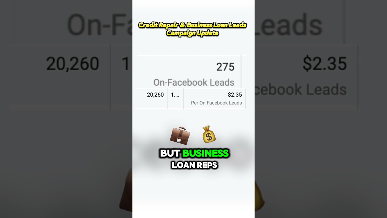 Business Loan Leads Marketing Campaign Attracting Buyers Using Instant Forms Who Need A Loan