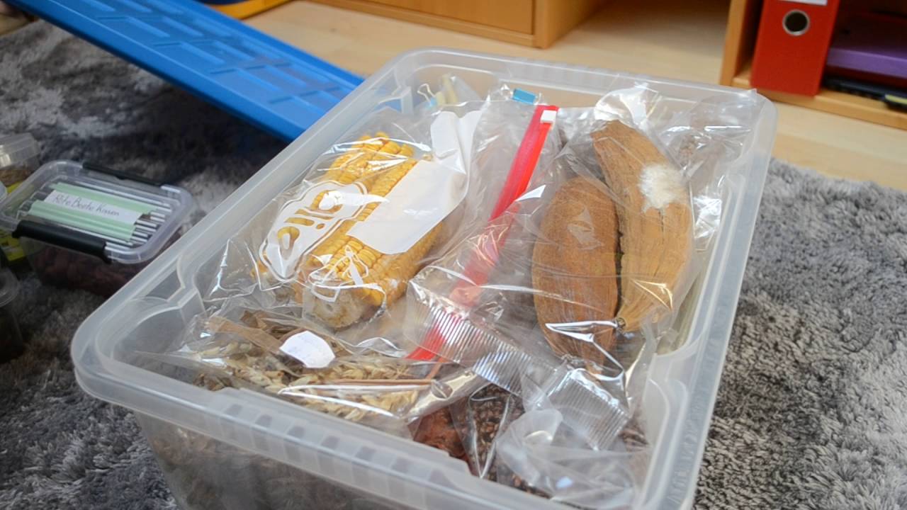Hamsterfutter und Leckerli Aufbewahrung, artgerechte Hamsterhaltung