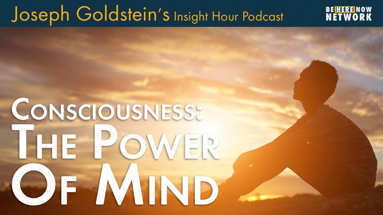 Consciousness: The Power of Mind with Joseph Goldstein – Insight Hour Podcast Ep. 172