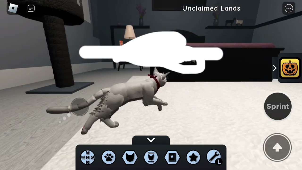 ( 13+ toys ) WarriorCats testing out the toys!