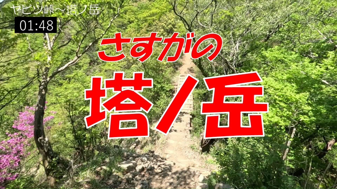 【The 定番低山編】さすがの塔ノ岳　ヤビツ峠から表尾根縦走＋大倉尾根　6時間10分　2023/5/10