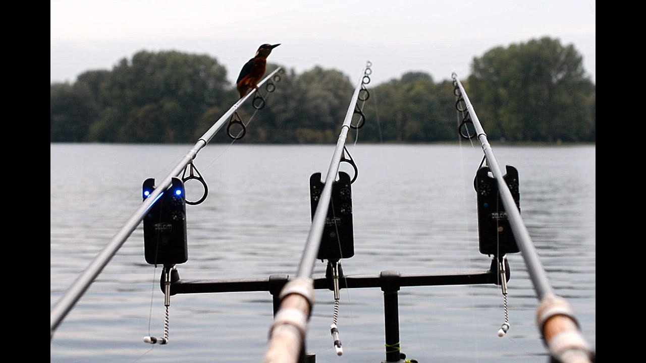 ***Het Najaarsoffensief sloterplas 2015***