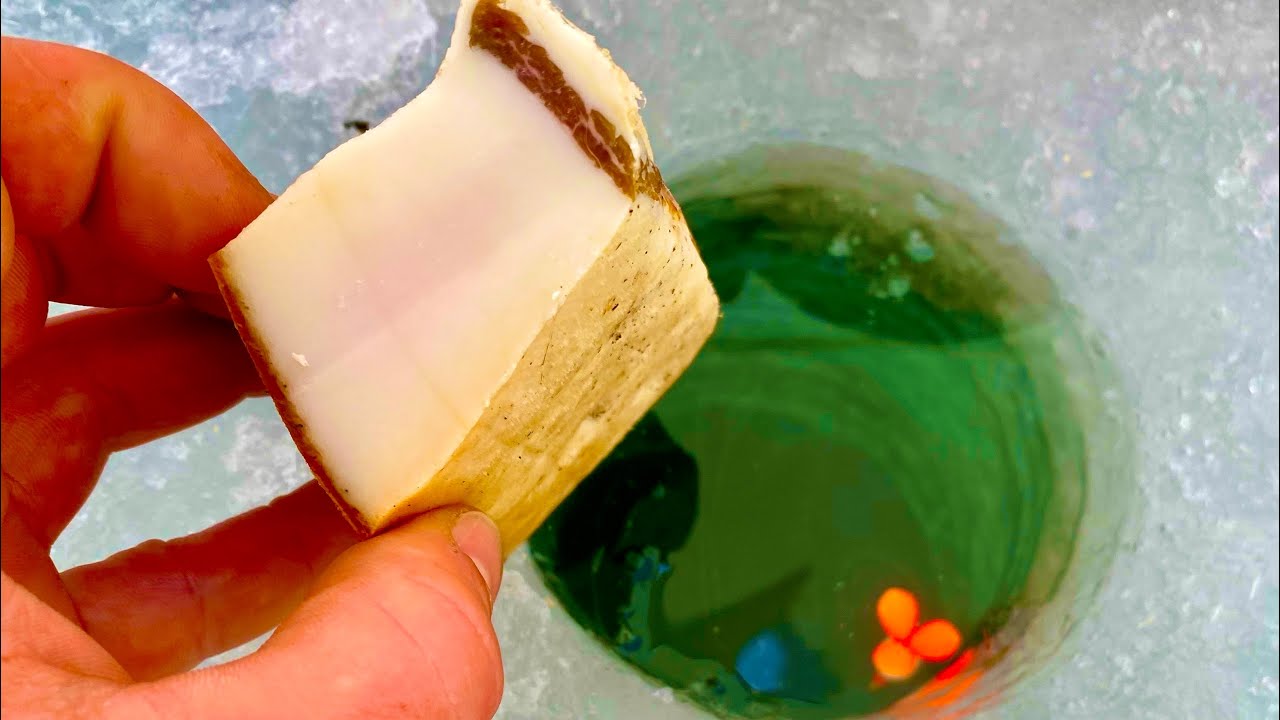 НАСАДИЛИ САЛО НА МОРМЫШКУ И ПОШЁЛ КРУПНЯК зимняя рыбалка