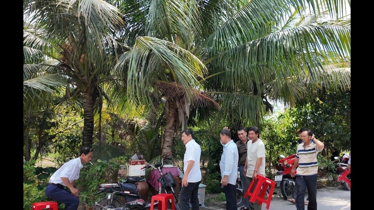 Đám giỗ Ngoại ở Hãng Đường, Hiệp Hòa - Long An