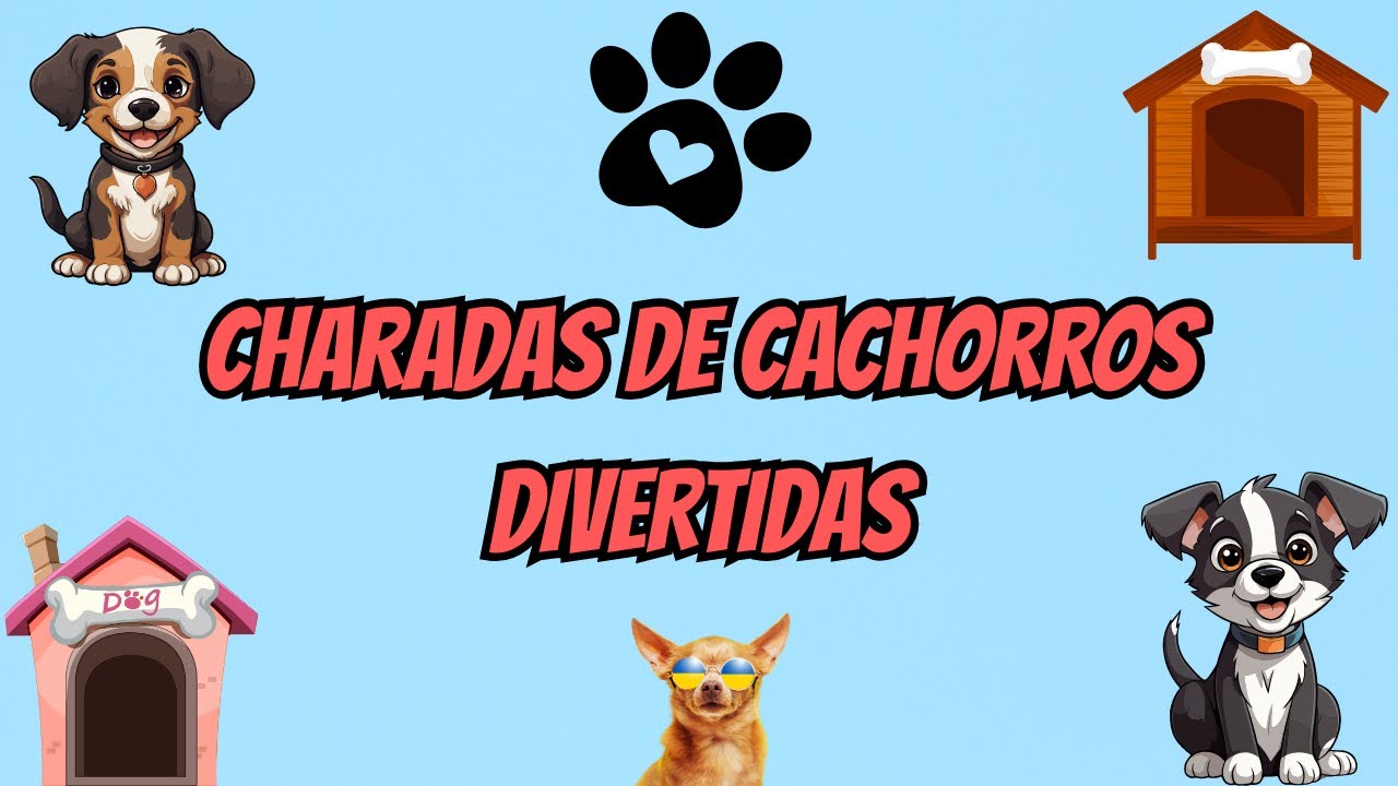 CHARADAS DE CACHORROS DIVERTIDAS-Dia Mundial do Cachorro