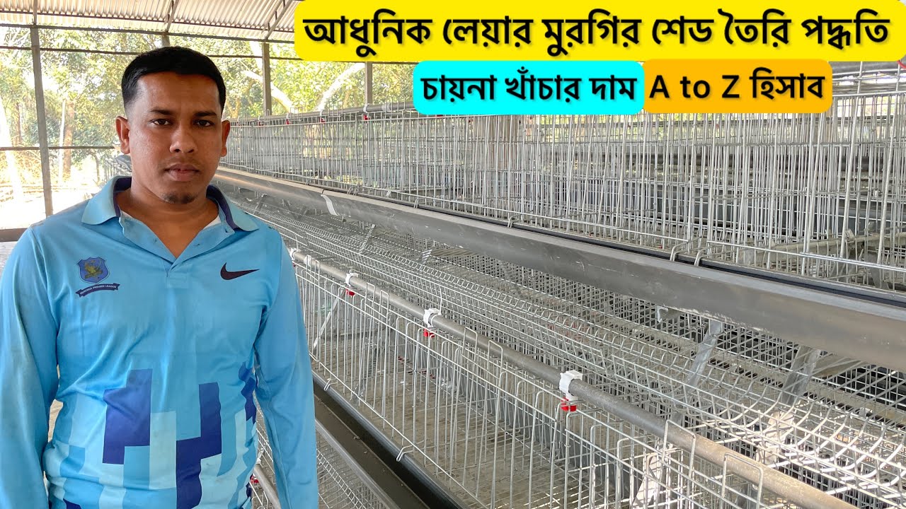 লেয়ার মুরগির আধুনিক শেড তৈরি পদ্ধতি | লেয়ার মুরগির খাঁচার দাম | লেয়ার মুরগি ফার্ম | layer murgi