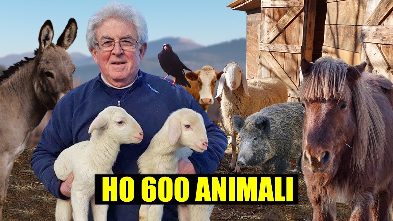 L'UOMO che VIVE con 600 ANIMALI - thepillow