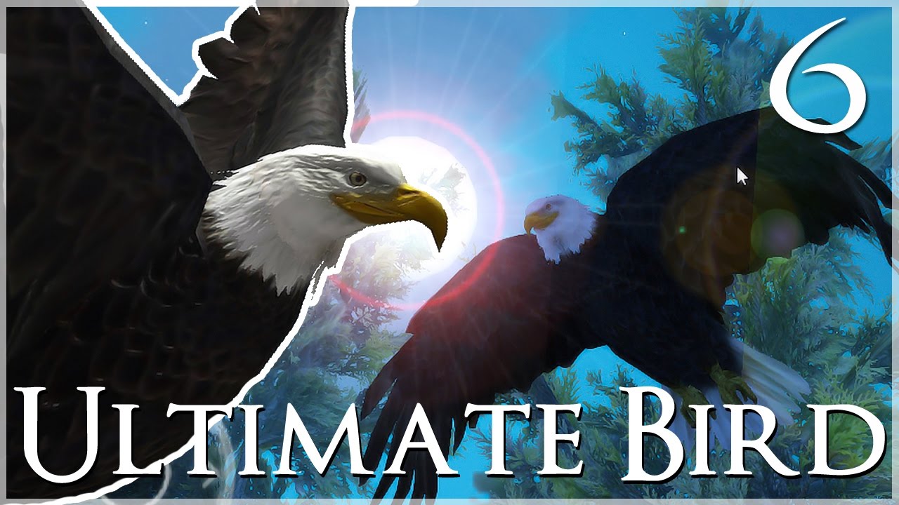 Dreams of Ultimate Feathered Glory!! 🐦 Ultimate Bird Simulator - Episode #6