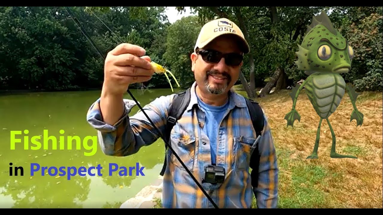 Summer Fishing at Prospect Park - Brooklyn Algae