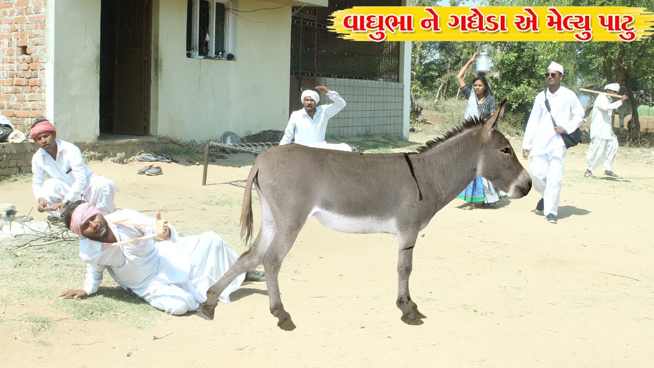 વાઘુભા ને ગધેડા એ મેલ્યુ પાટુ l Vaghubha Na Video l Kadvabha Ni Comedy