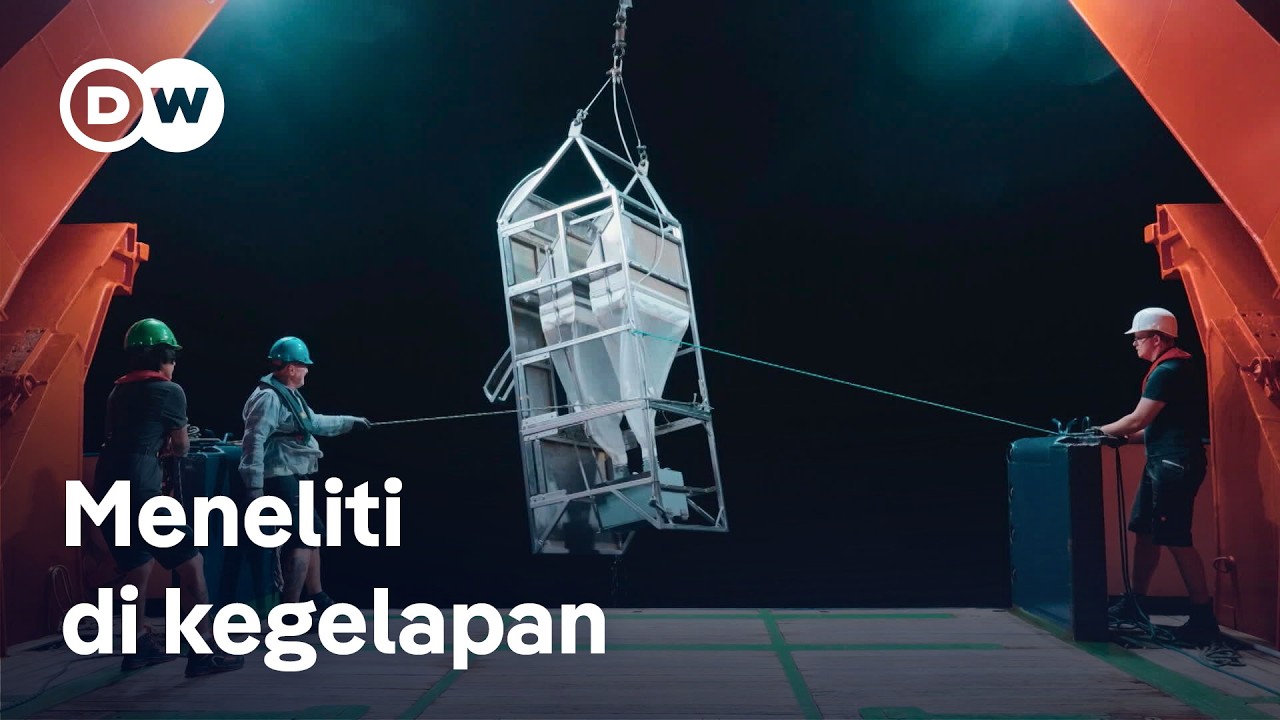Misteri laut dalam – Ekspedisi penelitian ekstrem untuk lihat dasar Samudra Atlantik | DW Dokumenter