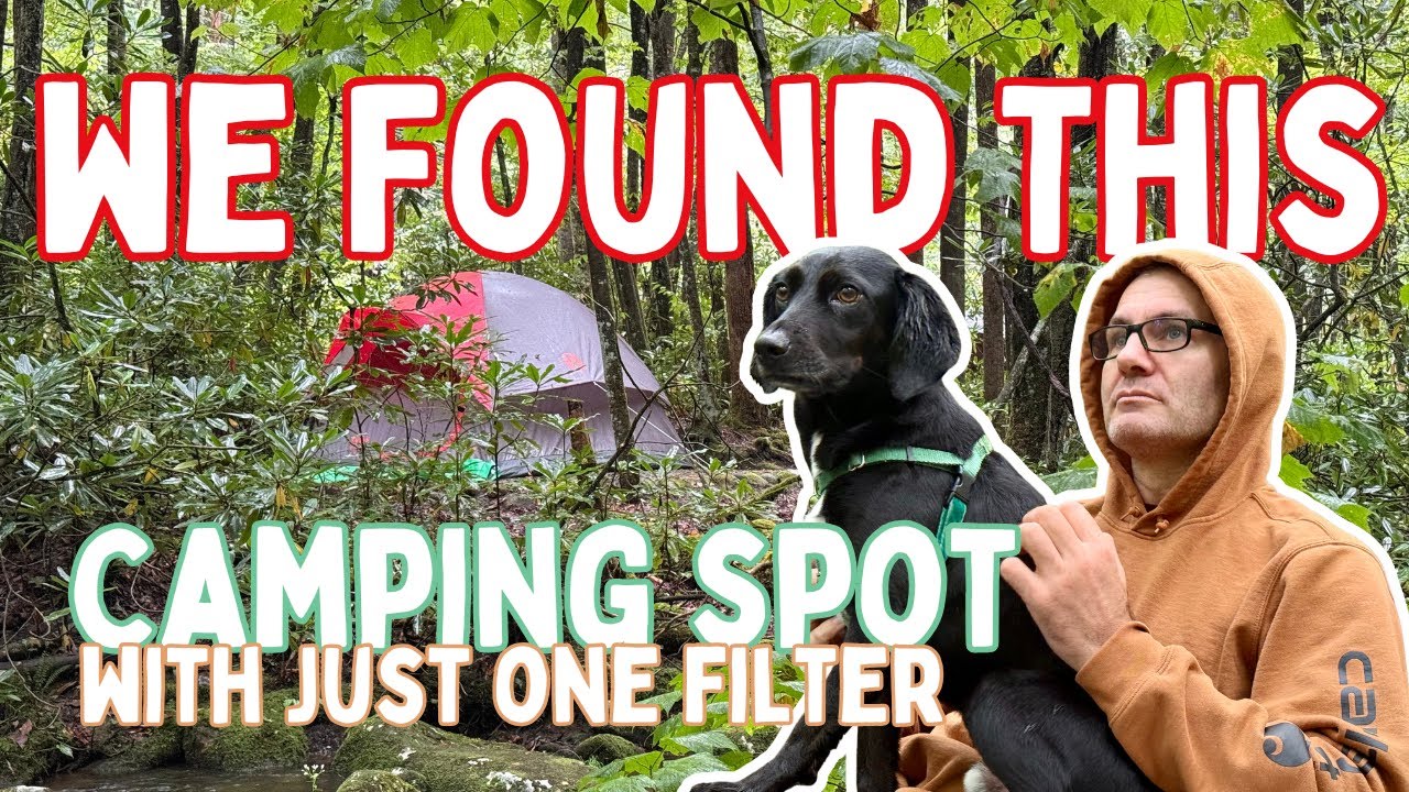 🏕️ We Found the DREAMIEST Camping Spot for Our 10-Year Anniversary (+ GF Vegan Mac & Cheese Recipe!)