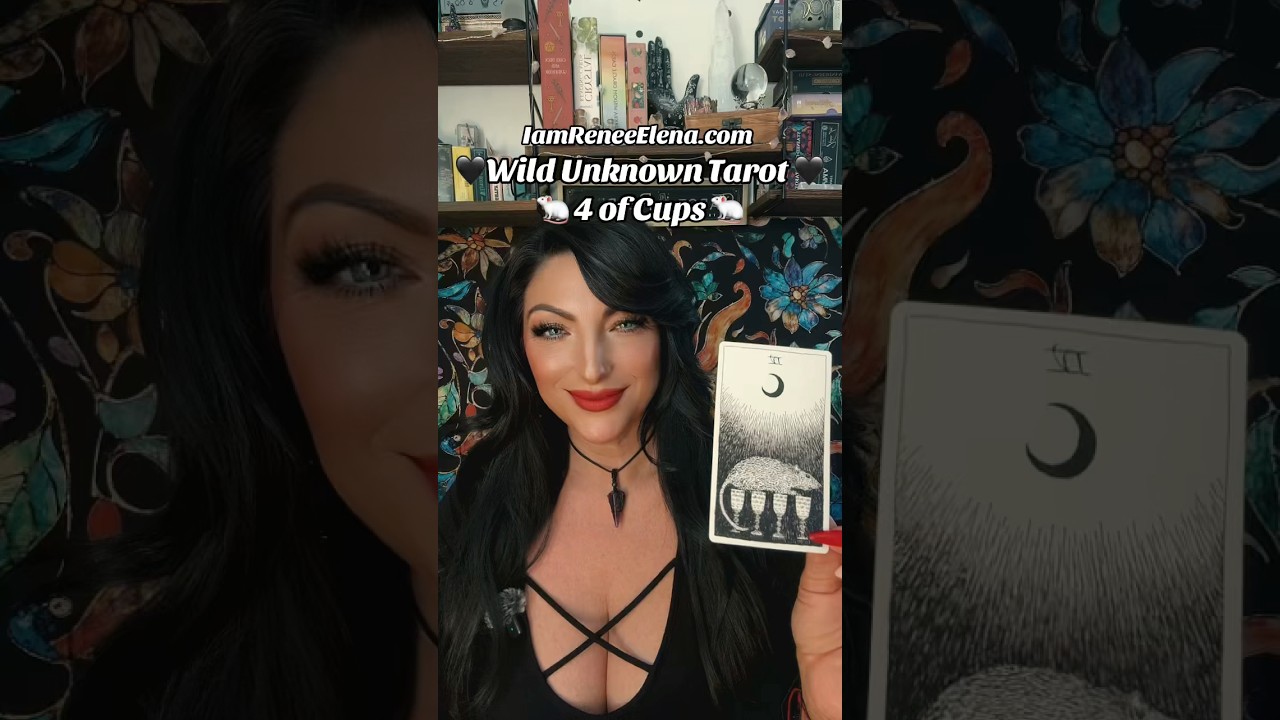 4 of Cups 🐁 #mouse #tarot #tarotreading #wildunknowntarot #psychicreadingdivine