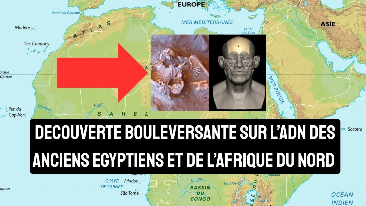LES DECOUVERTES ADN PREHISTORIQUES BOULEVERSANT L&rsquo;HISTOIRE DE L'AFRIQUE DU NORD
