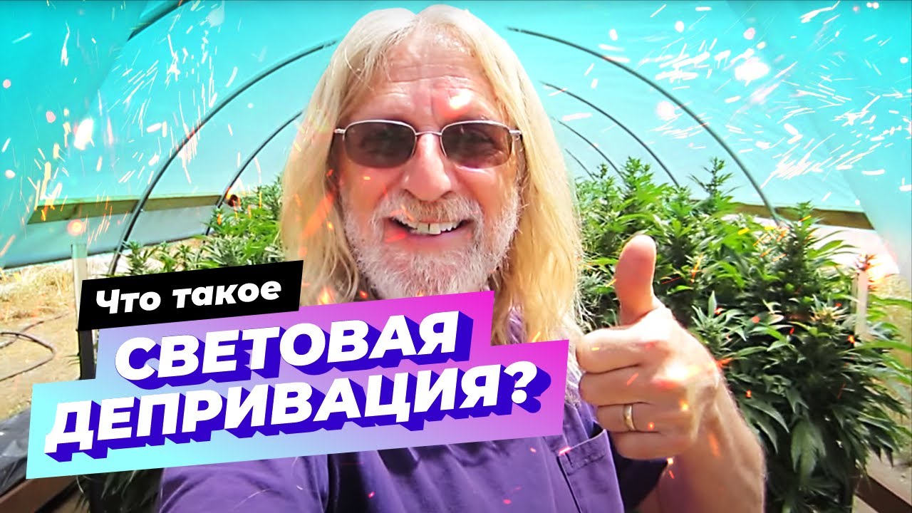 Световая депривация по Хорхе Сервантесу | Теплица в ауте | Light Deprivation | Озвучка Dzagi