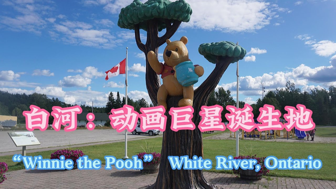 横贯加拿大自驾 D2 | Winnie the Pooh Birthplace 小熊维尼从这里开始动画巨星之路  | White River, Ontario 安省白河镇