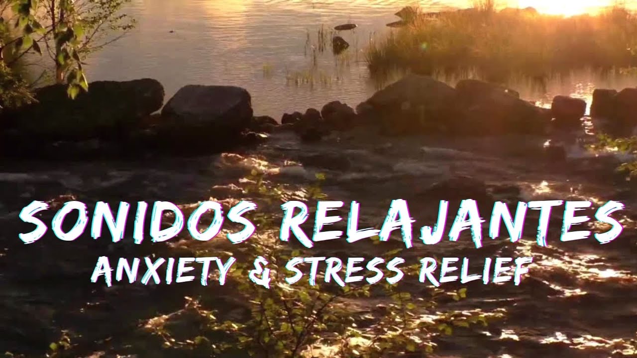 Musica y Sonidos Relajantes para Aliviar el Estrés 🎧 Ansiedad y Estados Depresivos | Musica 🎧