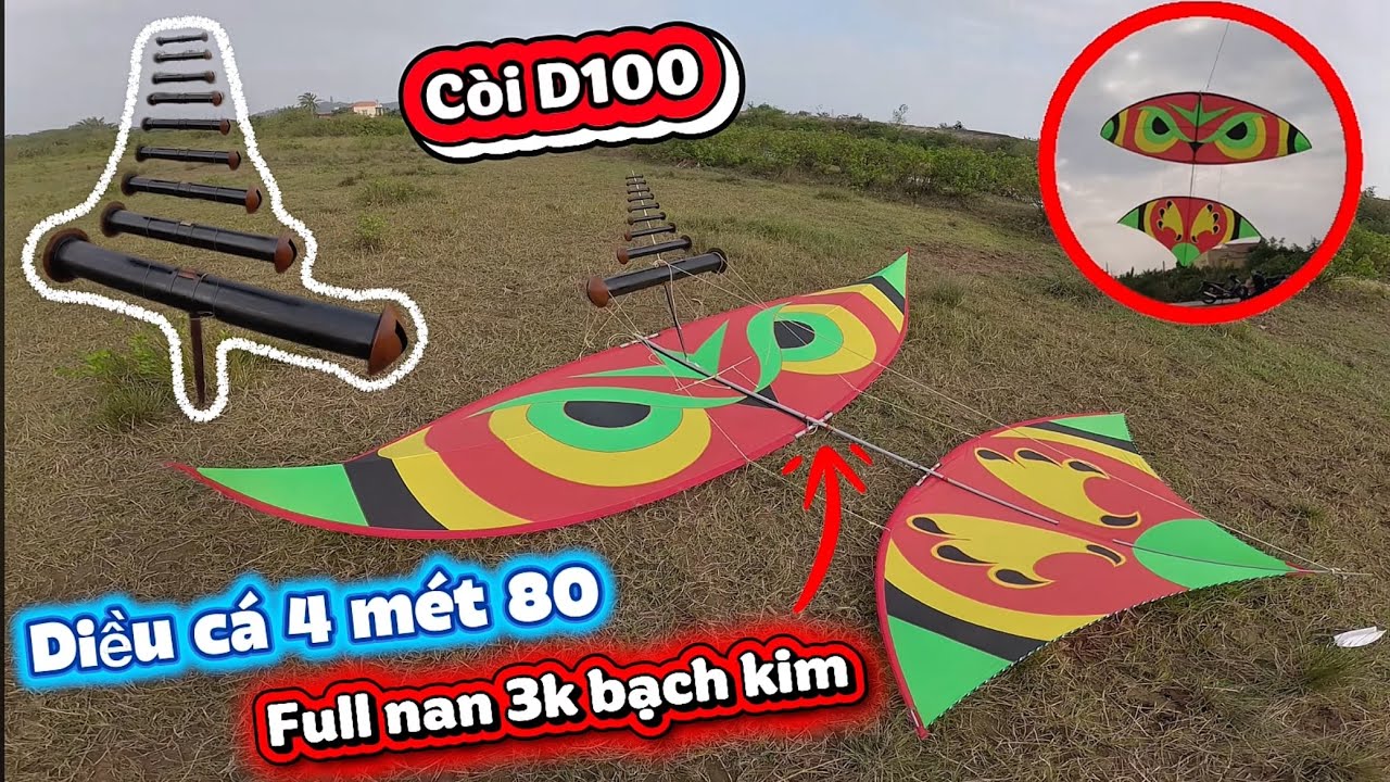 Hoài TV | TEST SÁO CÒI D100 VÀ DIỀU CÁ 4M8 SIÊU VÍP GIÓ ĐẸP