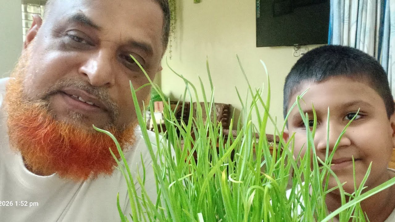 অভাবনীয় ❣️সুন্দর👌চালুনিতে রসুন চাষ #Cultivating #garlic in an incredible sieve  