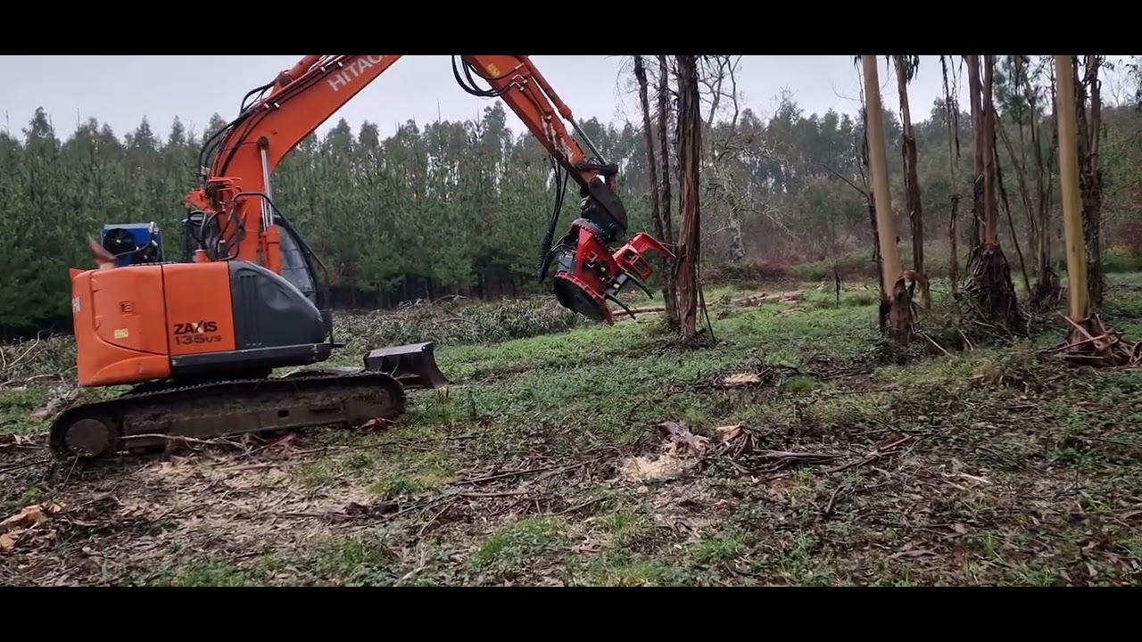 Visita a cliente FORESTCUTTER 300