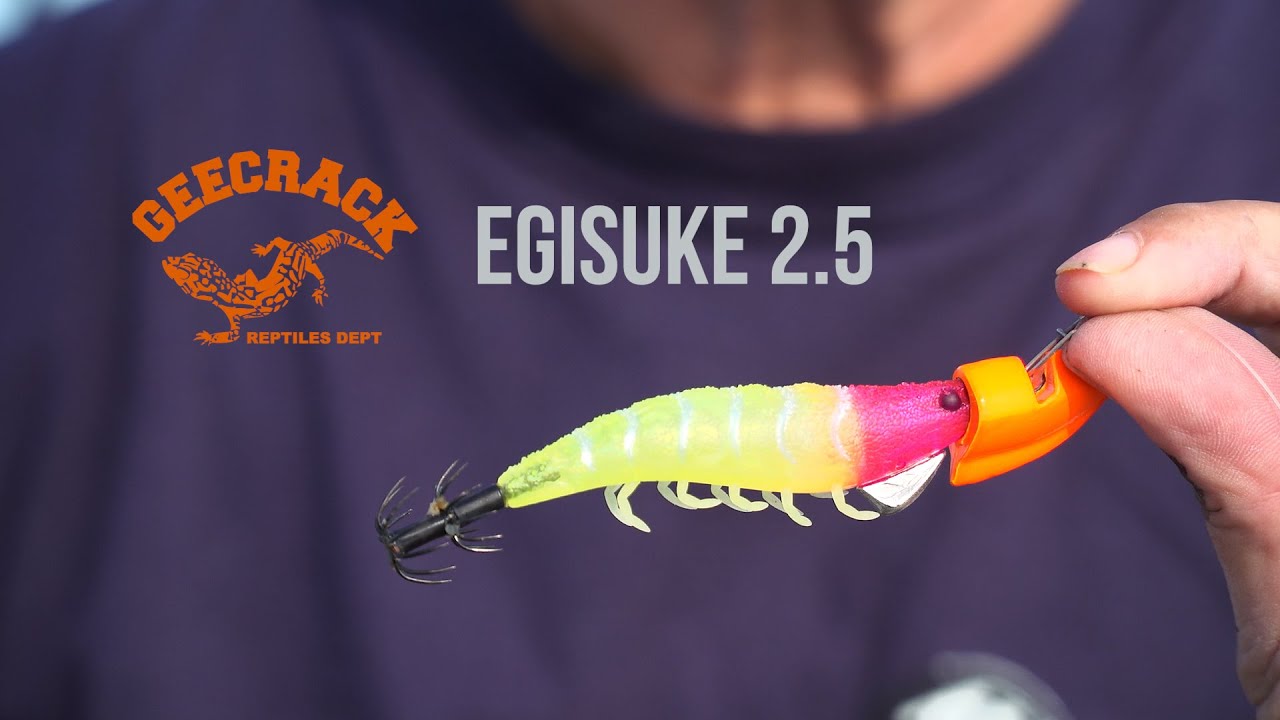 Pesca delle seppie a Tip Run con Geecrack Egisuke 2.5
