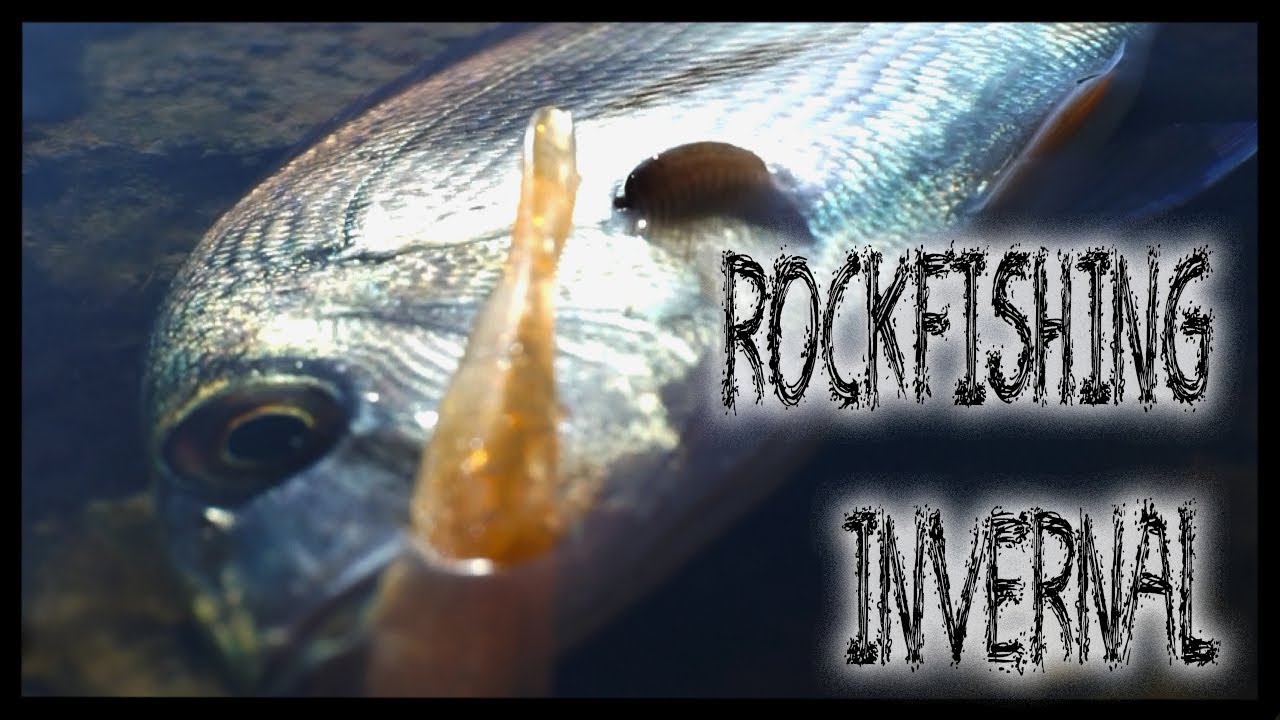 WINTER ROCKFISHING! Fishing on December 1st! (tips, advice...) | ThePOPPERfisher | Outing 30