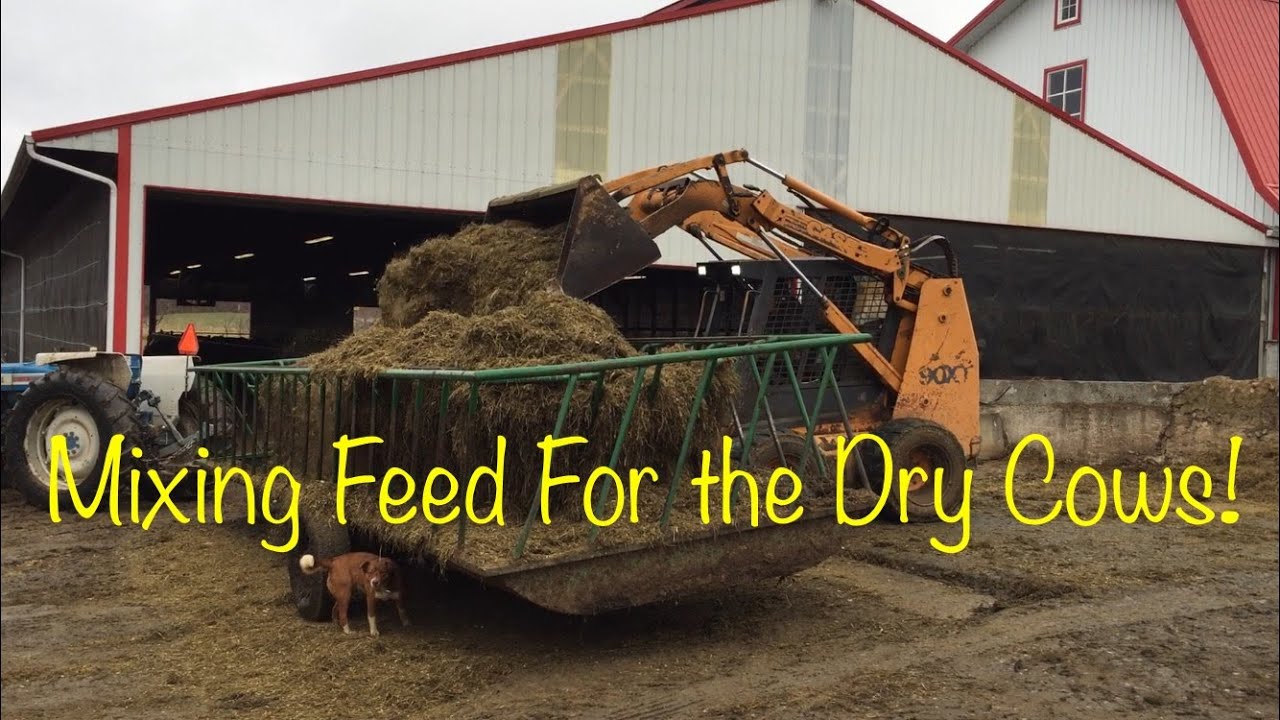 Mixing dry cow feed!