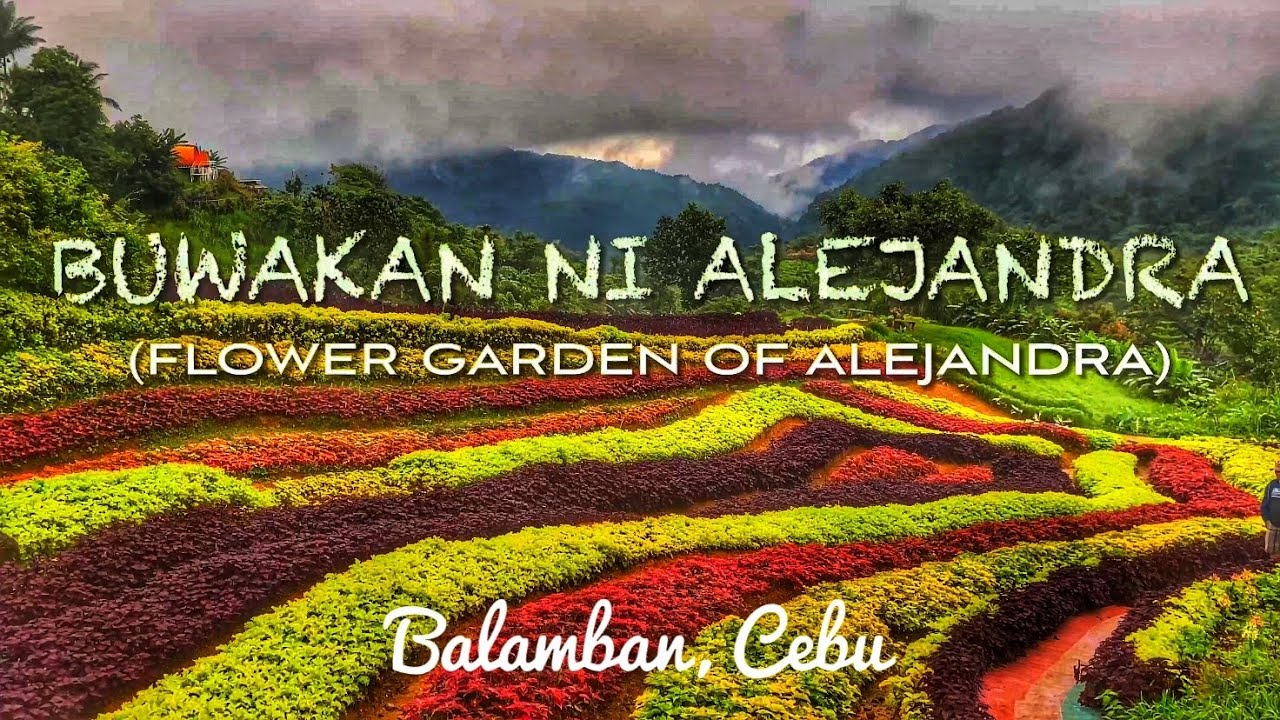 Buwakan Ni Alejandra in Balamban, Cebu (New Majestic Flower Garden in Cebu!)