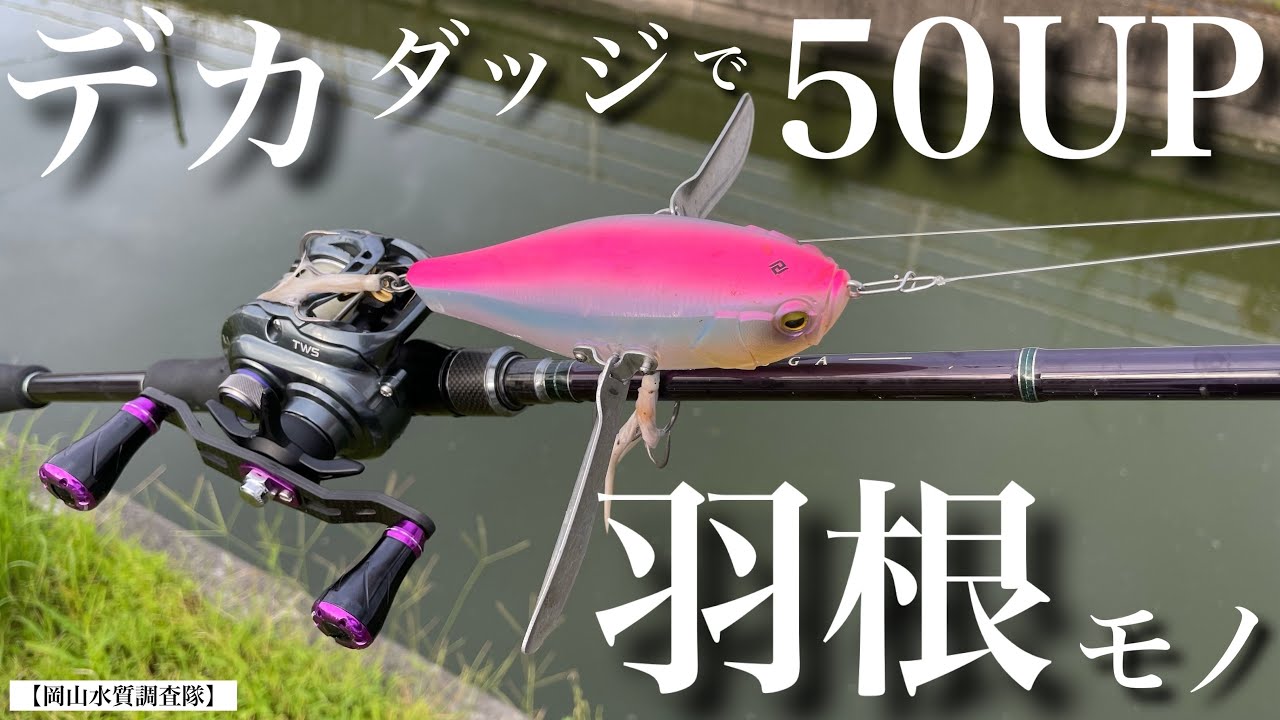 【羽根モノ】水面がカチ割れる瞬間がヤバすぎた。『デカダッジ』で50UPの本気バイト。デカダッジ 動き アクション使い方 レイドジャパン RAID JAPAN  バラム245 -ビッグベイト- バス釣り